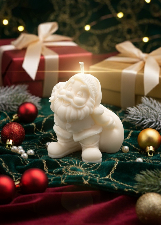 Special_Delivery_Santa_2