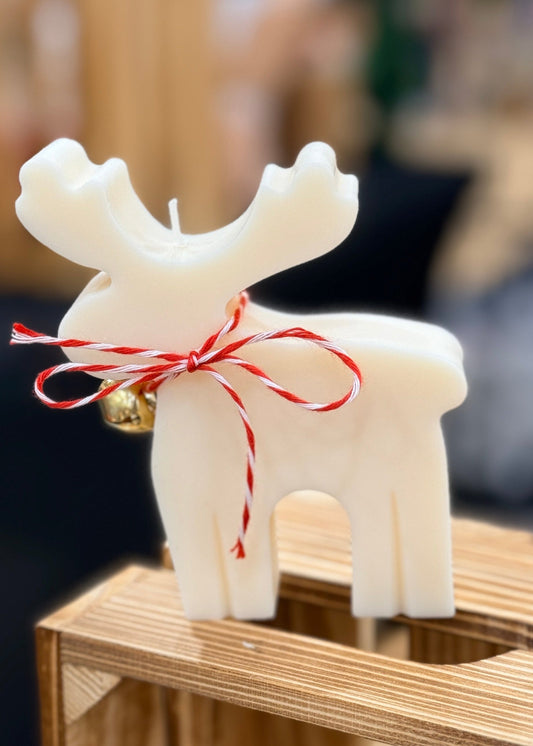 The "Merry & Bright" Reindeer Light